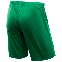 Шорты игровые CAMP Classic Shorts JFT-1120-031, зеленый/белый